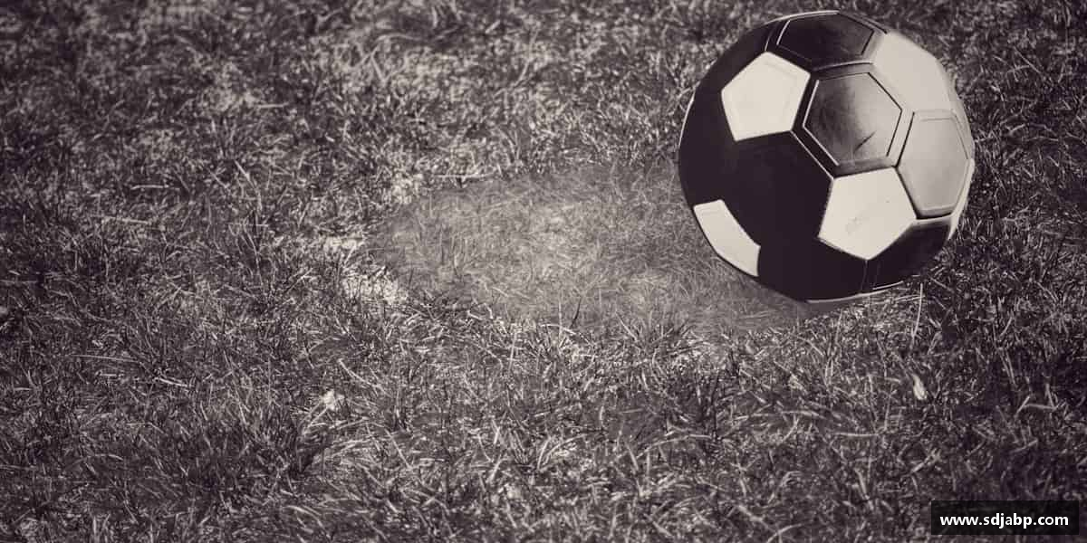 介绍MK体育恩波利