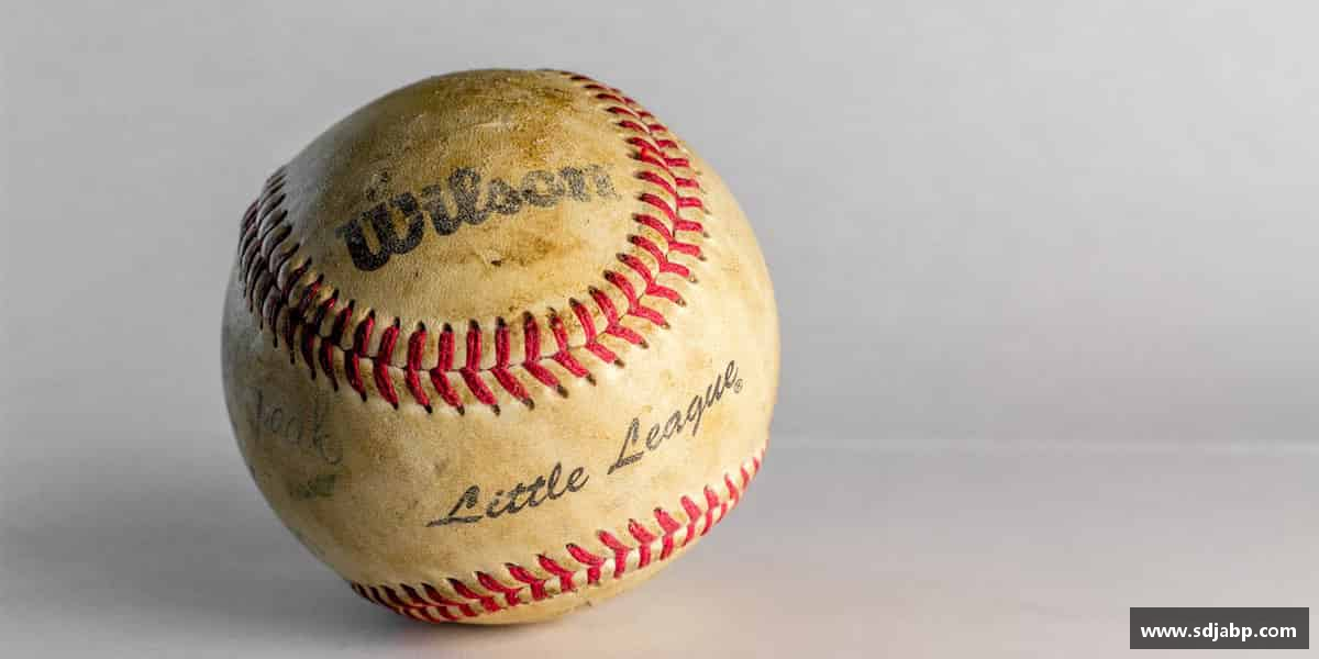 全力冲刺，成就辉煌人生。